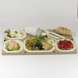 Coffret repas saumon froid